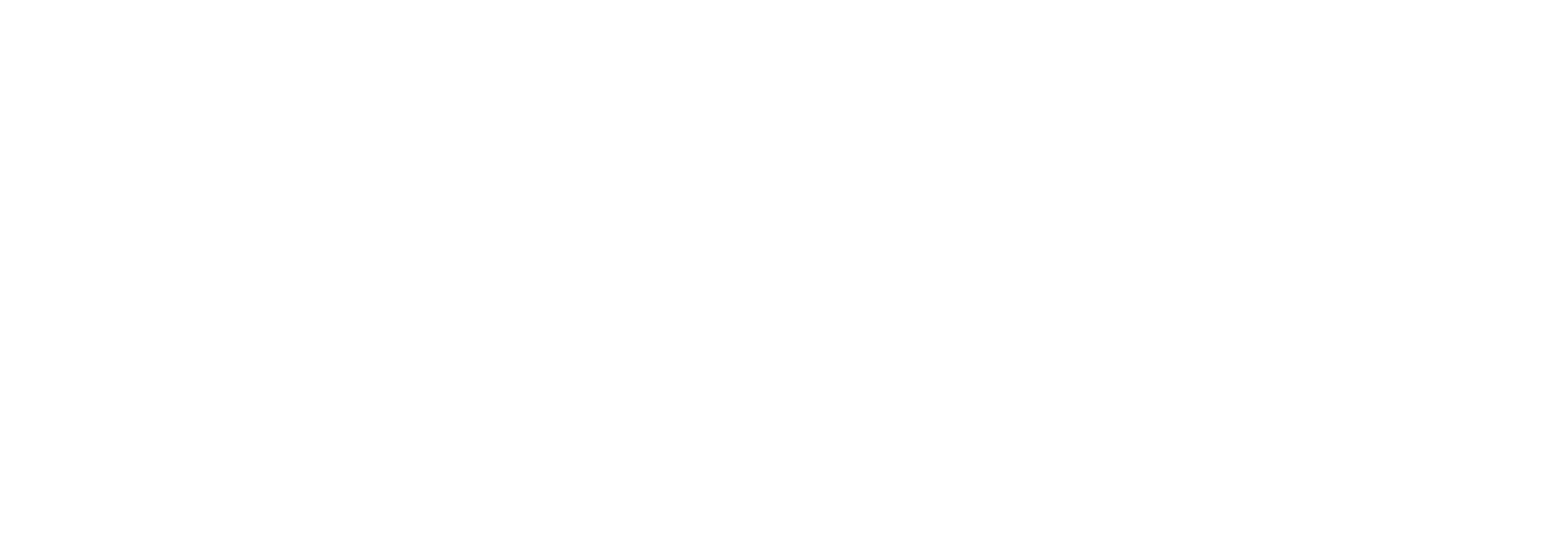 Hoshtel99 wordmark