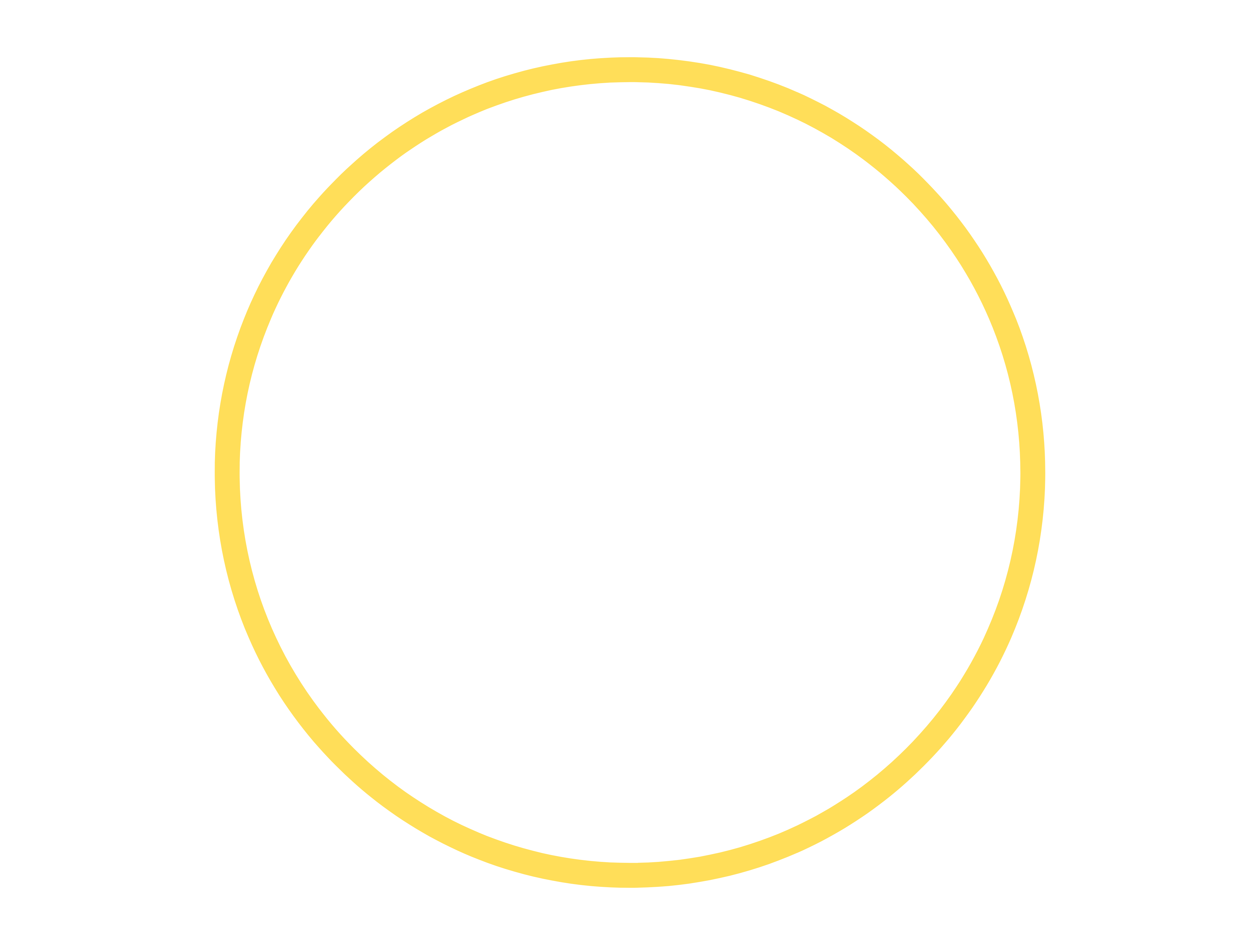 Hoshtel99 logo